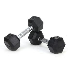 10LB 1-Pair(2pieces)HDRS Rubber Coated Solid Cast Iron Dumbbell with Contoured Chrome Handle, Hexagon