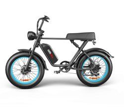 C91-20 Inch Dual-drive High-speed Electric Bike (Option: A)